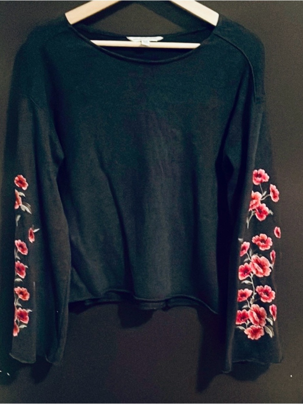 American Eagle Outfitters Navy Sweatshirt with red Floral Sleeve Embroidery